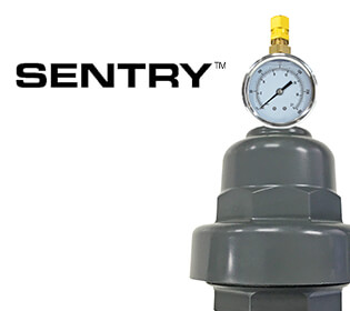 Sentry III - Pulsation Dampeners