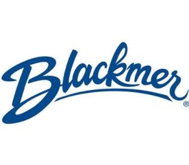 Blackmer 091621铁叶片