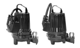 Goulds 1GA71H5CD研磨泵，1-1/2“NPT放电，4马力，3相，575V, 3450 RPM, 4安培，铸铁，1GA系列