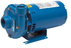 Goulds 1BF20712, Close-Coupled Pump, 1