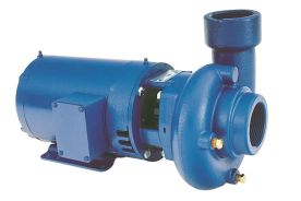 Goulds 54BF1K4A0, End Suction Pump, 4