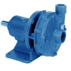 Goulds F1AB10, Frame Mounted Pump, 1