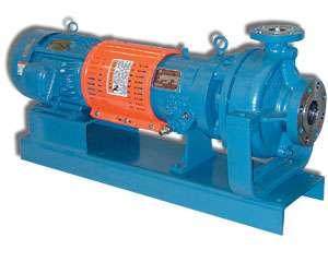 R4000重型工艺泵